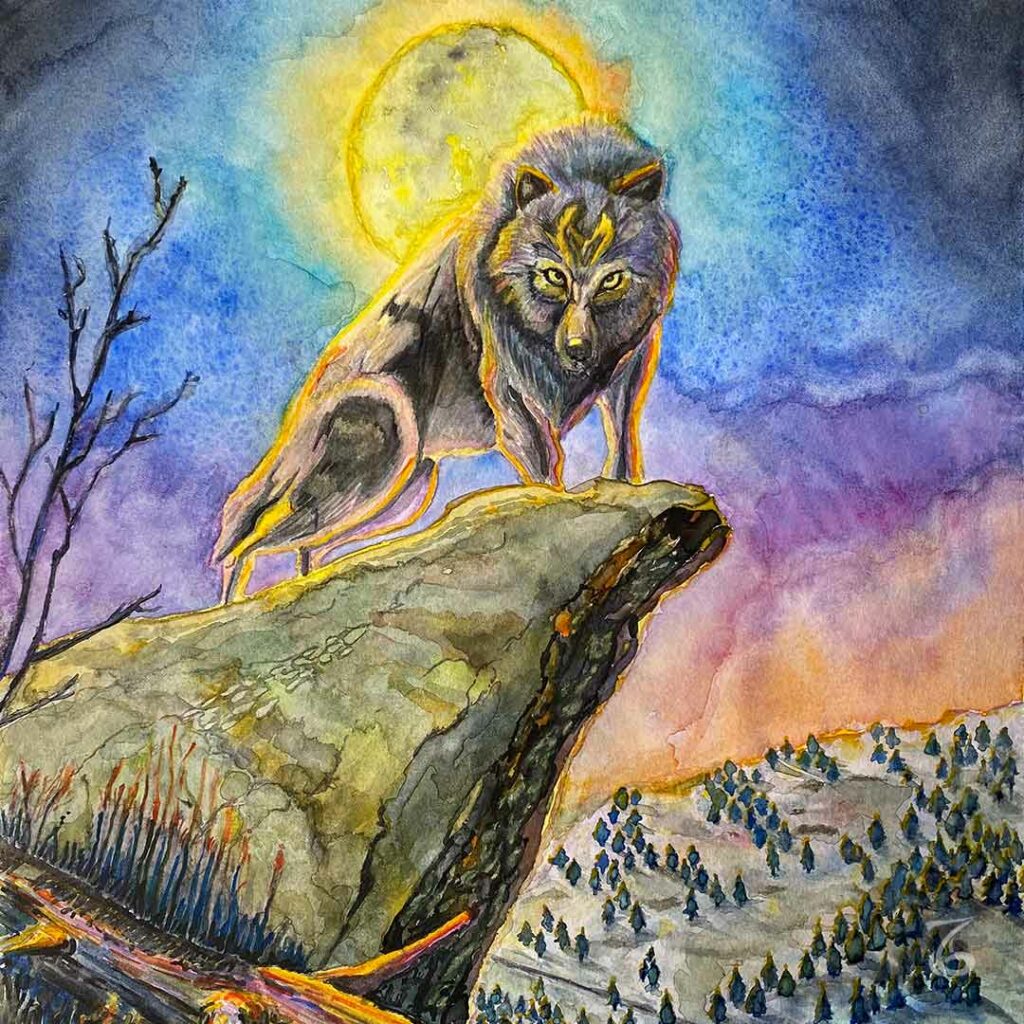 Loup sur Rocher