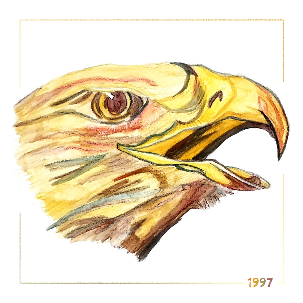 Dessins aquarelle 🖌️🌈 🖍️ 1996 : Aigle