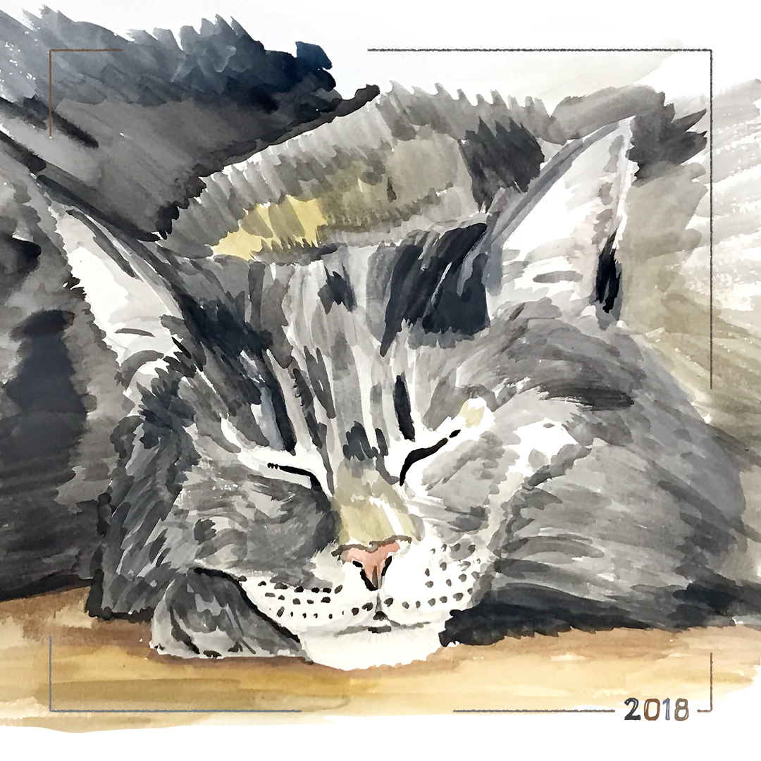 Dessins aquarelle 🖌️🌈 🖍️ 2018 : Maurice, mon Maine Coon